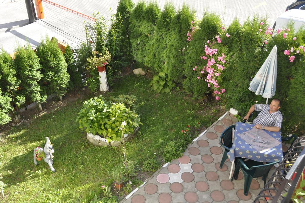 Vila Ana-Maria Σινάια Εξωτερικό φωτογραφία