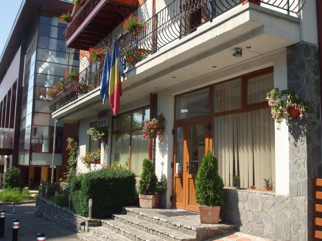 Vila Ana-Maria Σινάια Εξωτερικό φωτογραφία